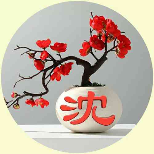 舒姓氏头像文字图片 第5张