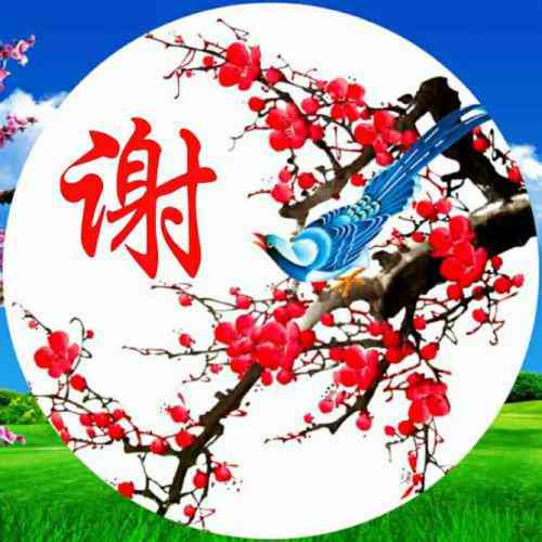 朱姓图片文字微信头像 第7张