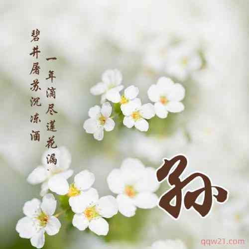 头像文字图片大全唯美 第1张