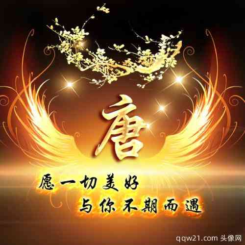 姓氏头像段的文字图片大全 第6张