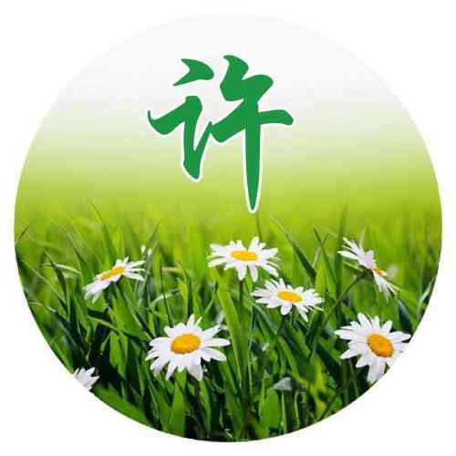 姓氏头像段的文字图片大全 第7张